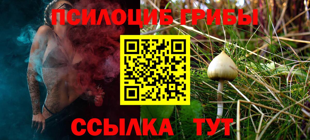 Галлюциногенные грибы Magic Shrooms Сунжа