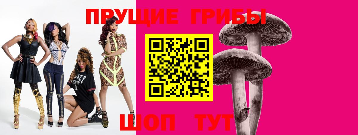 Сунжа  Псилоцибиновые грибы Magic Shrooms  Вход с VPN  Галлюциногенные грибы мухоморы 